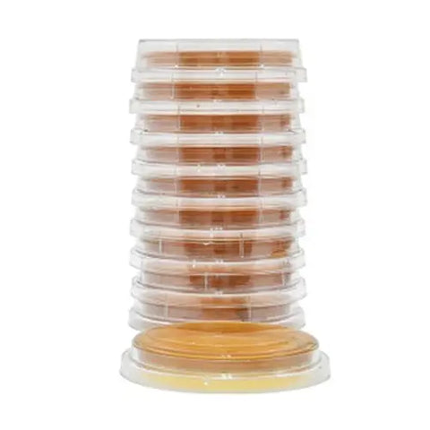 HardyVal™ Malt Extract Agar w/Lecithin & Tween®.