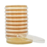 TSA (Tryptic Soy Agar), SterEM™, USP, 26ml fill.