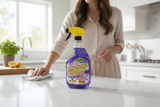 Lavalosso Multi-Surface Spray Cleaner